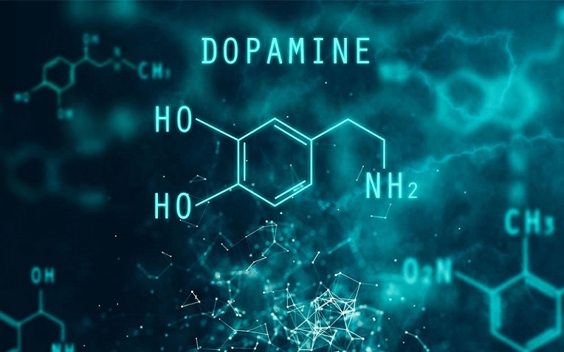 Hormone gây hưng phấn dễ chịu